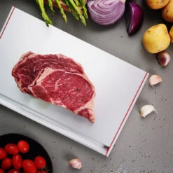 Optøningsplade, ThawThat -Butik Zwilling 12147 2