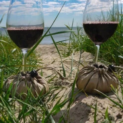 Vinglasholder Vingel 2-pak -Butik Zwilling 13563 5