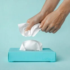 Servietæske Med Bomuldsservietter -Butik Zwilling 13664 6